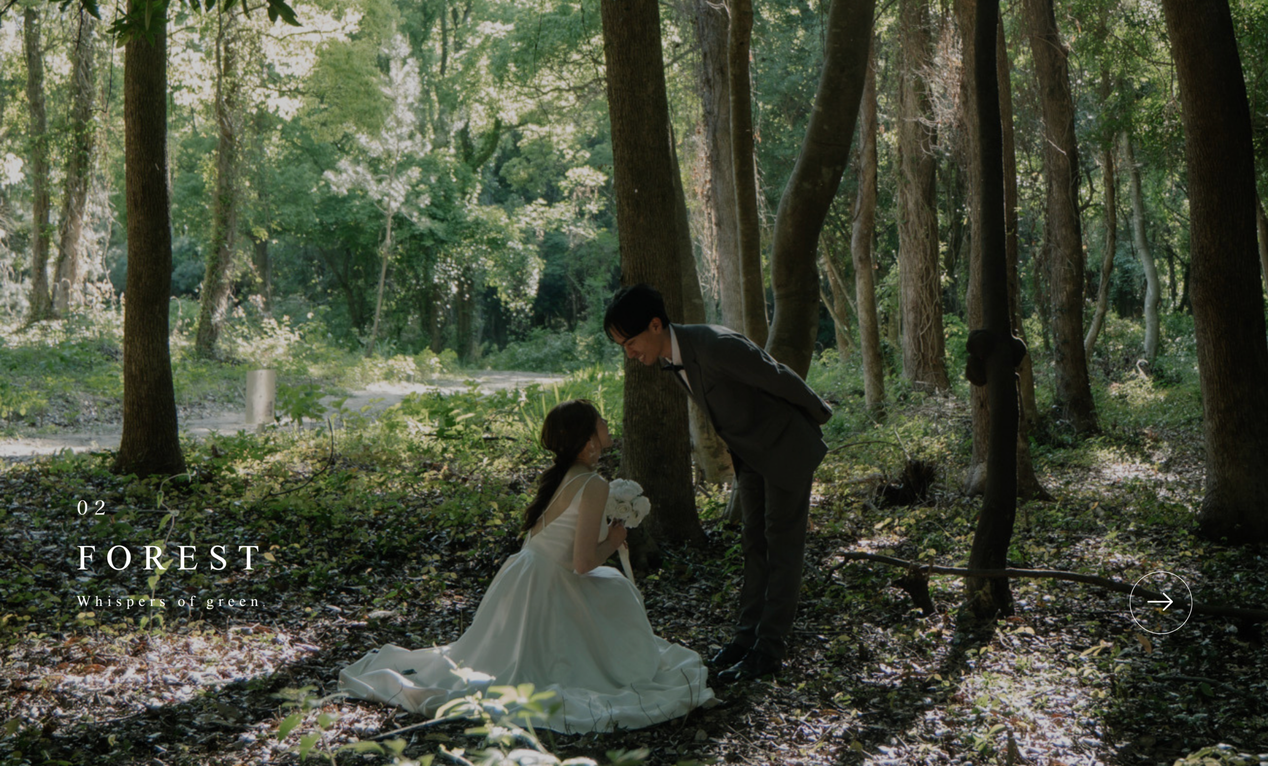 FOREST