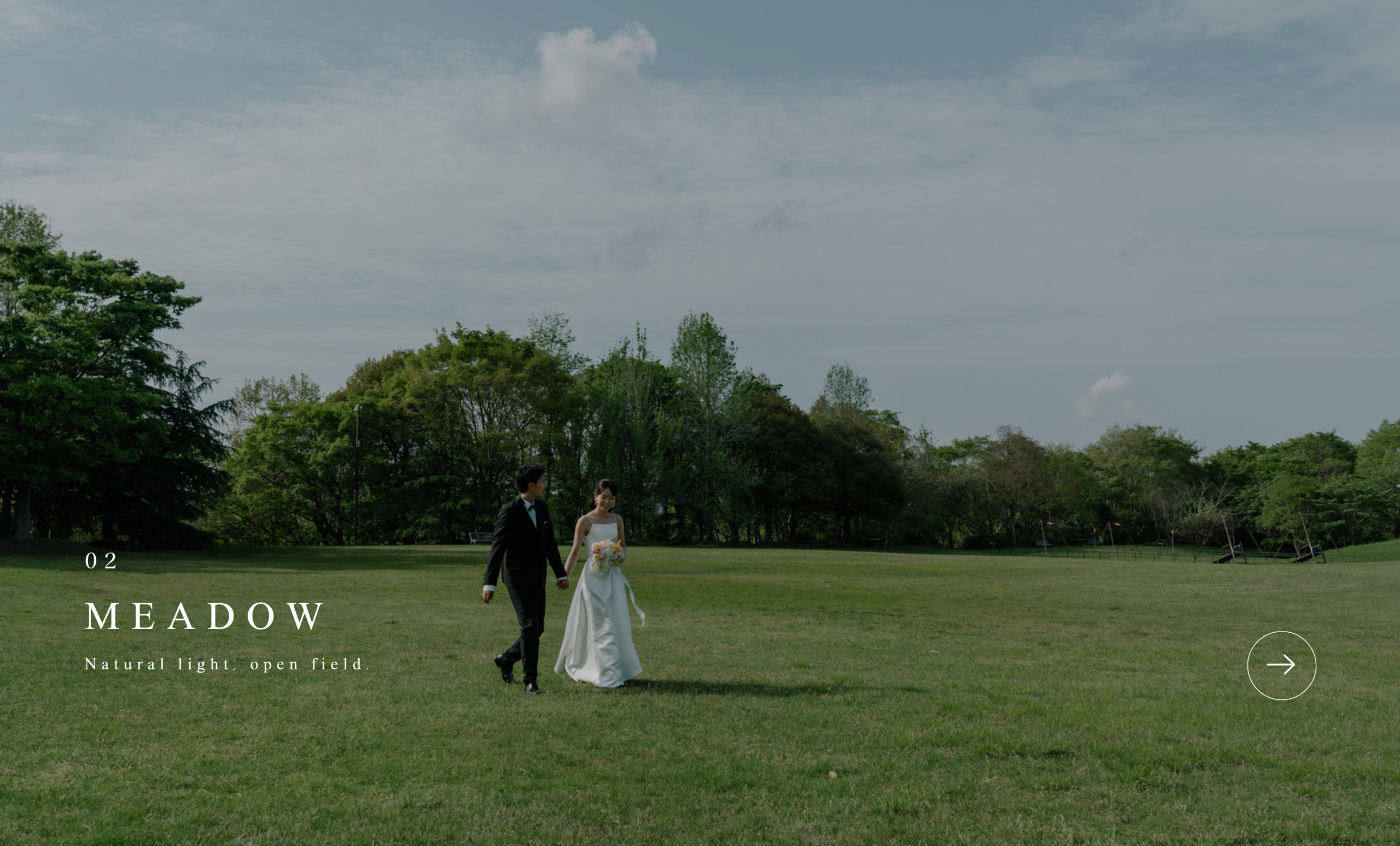 MEADOW