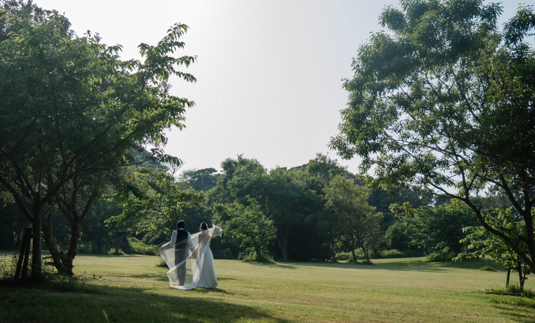 LOT wedding FOREST